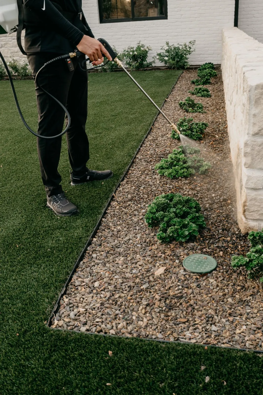 Citrus Pest Co technician misting a gravel bed of groundcover plants